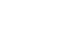 light logo