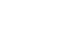 light logo